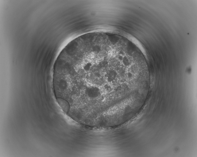 X0000089881099200707262205