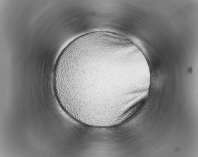 X0000089881100200707262205