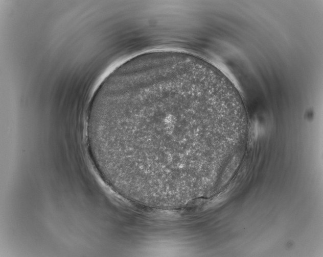 X0000089881101200707262205