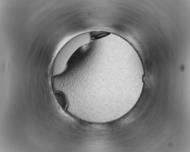 X0000089881102200707262205