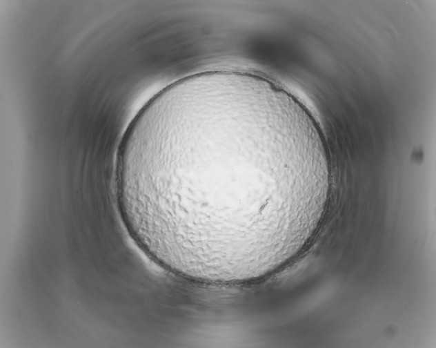 X0000089881103200707262205