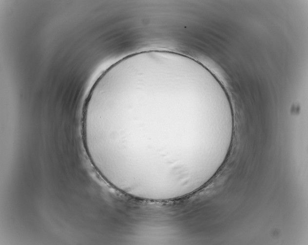 X0000089881104200707262205