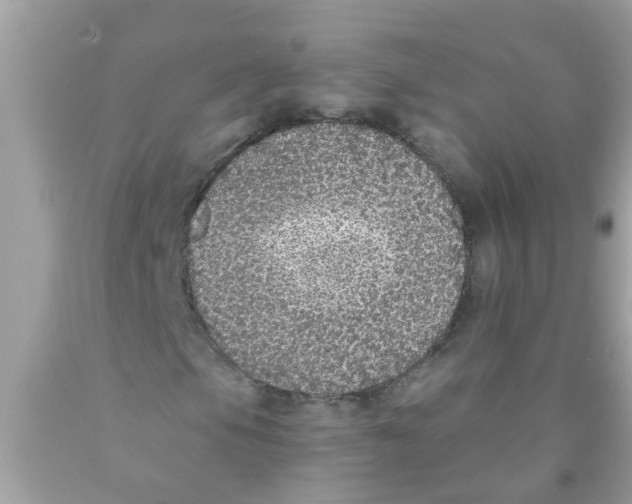 X0000089881105200707262204