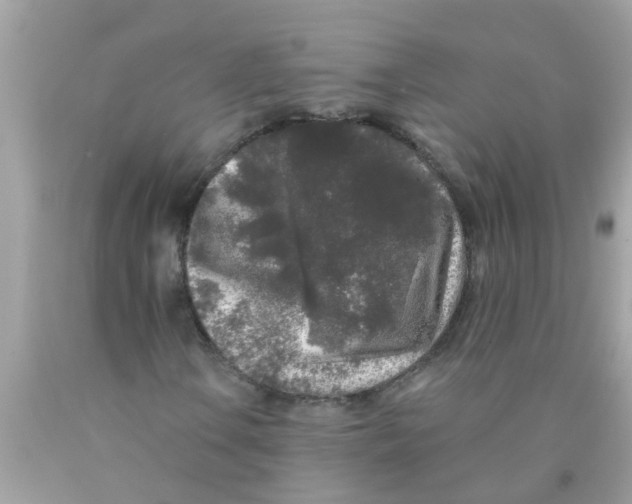 X0000089881106200707262204