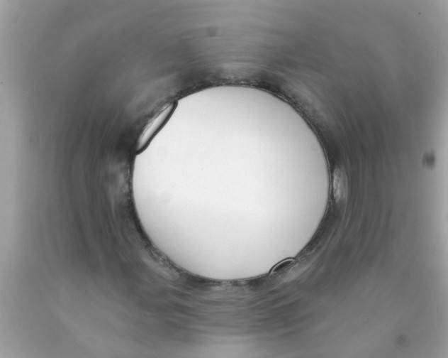 X0000089881107200707262204