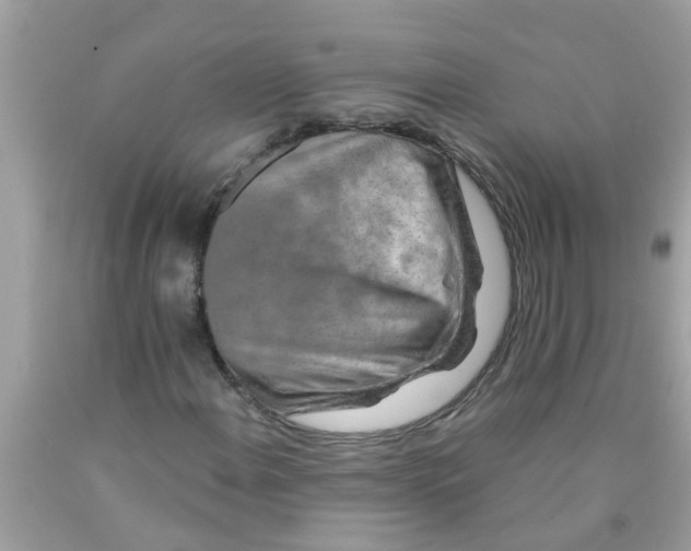 X0000089881108200707262204