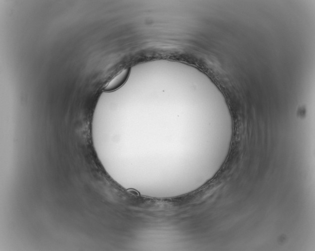 X0000089881109200707262204