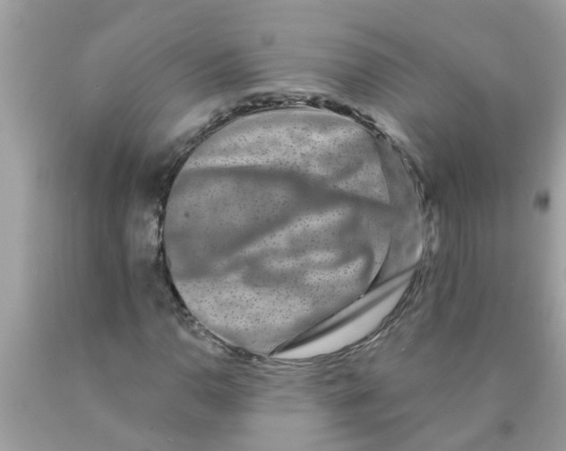 X0000089881110200707262204