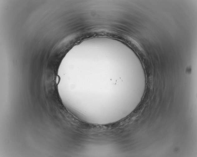 X0000089881111200707262204