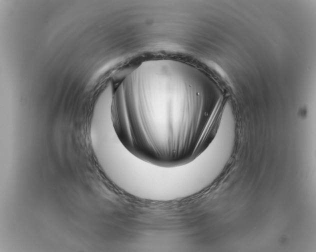 X0000089881112200707262204