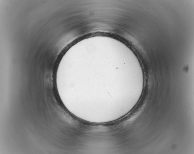 X0000089881113200707262204