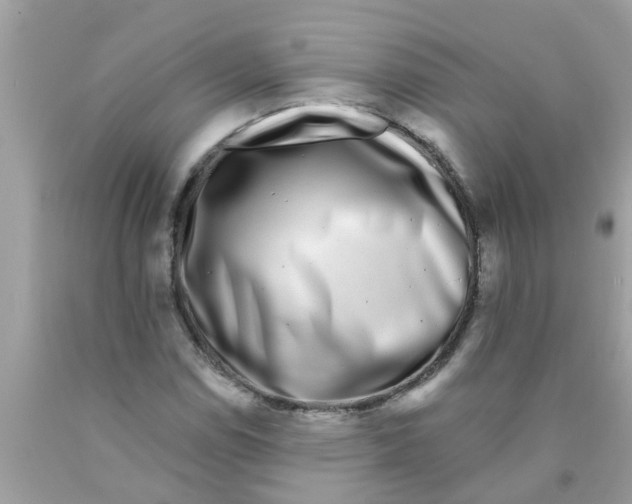 X0000089881114200707262204