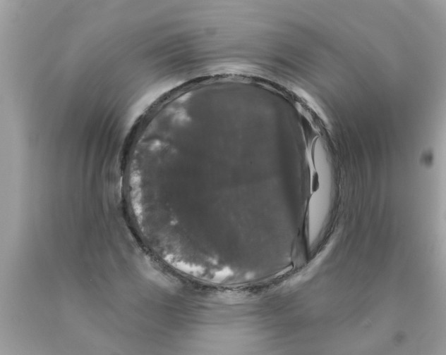 X0000089881117200707262204