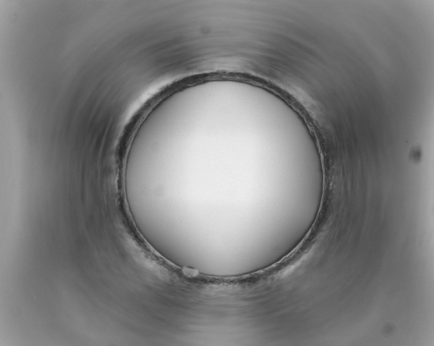 X0000089881118200707262204