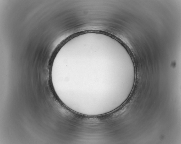 X0000089881119200707262204