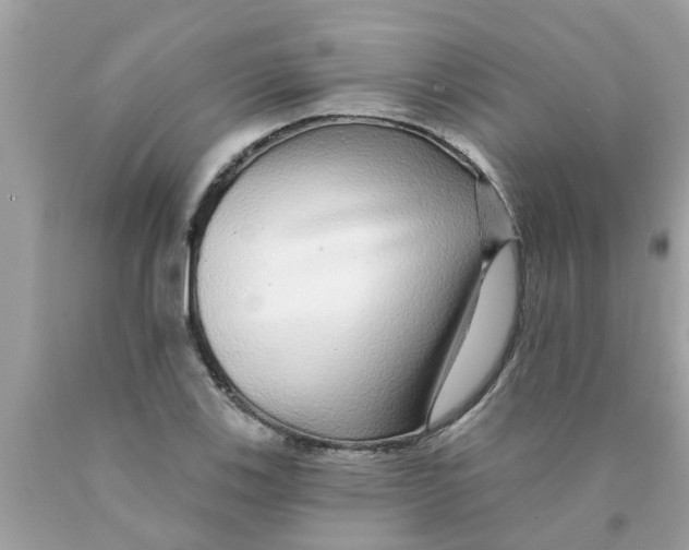 X0000089881123200707262204