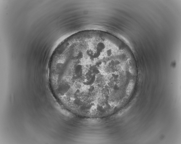 X0000089881125200707262204