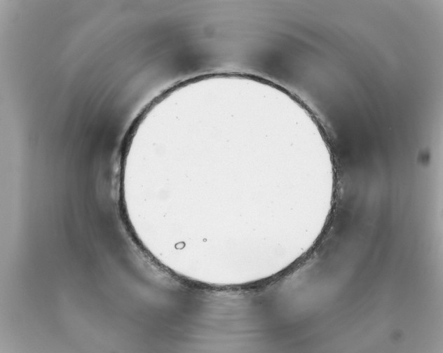 X0000089881126200707262204