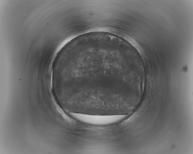 X0000089881127200707262204