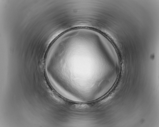 X0000089881129200707262204