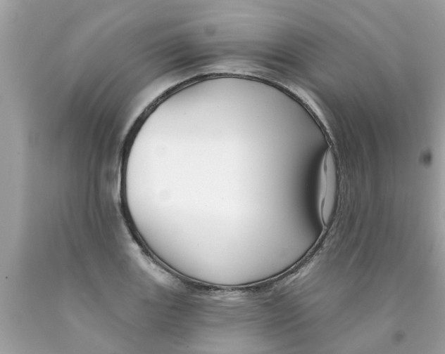 X0000089881131200707262204