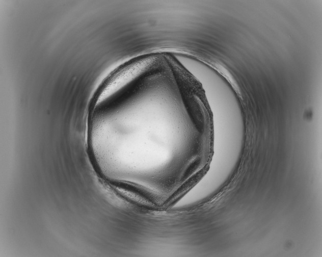 X0000089881132200707262204