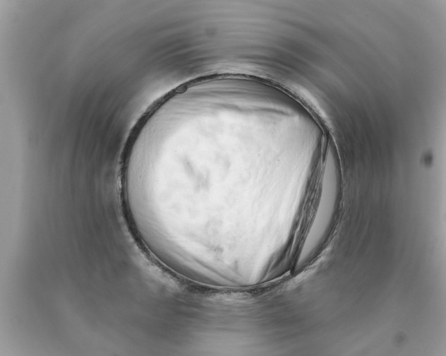 X0000089881133200707262204