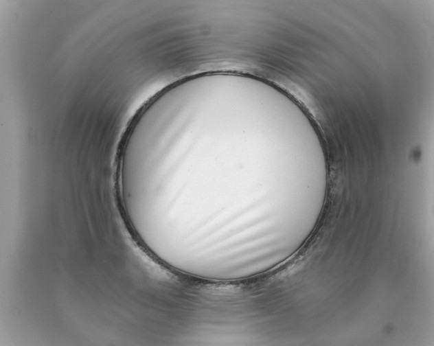 X0000089881135200707262204