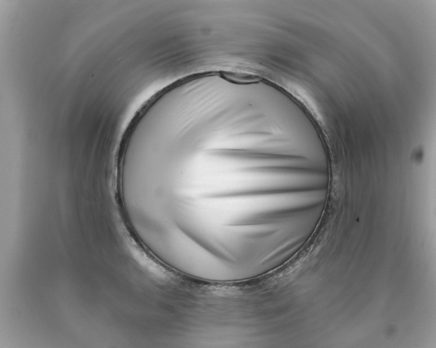 X0000089881136200707262204