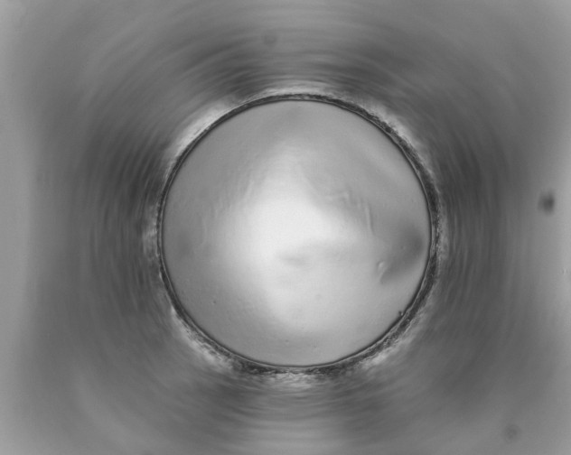 X0000089881137200707262204