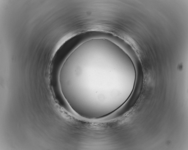 X0000089881138200707262204