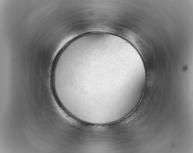 X0000089881139200707262204