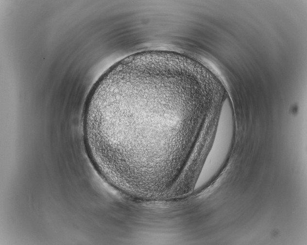 X0000089881141200707262204