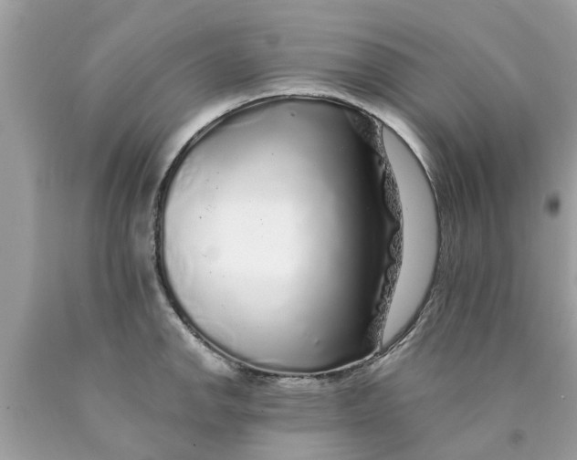 X0000089881142200707262204