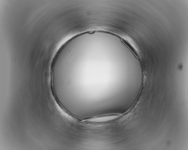 X0000089881143200707262204