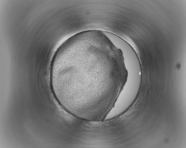 X0000089881144200707262204