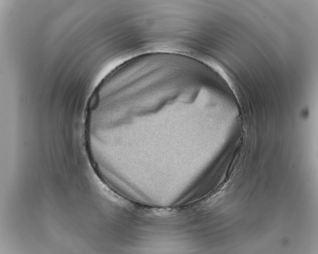 X0000089881147200707262204