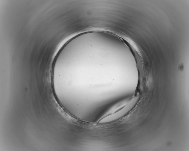 X0000089881148200707262204