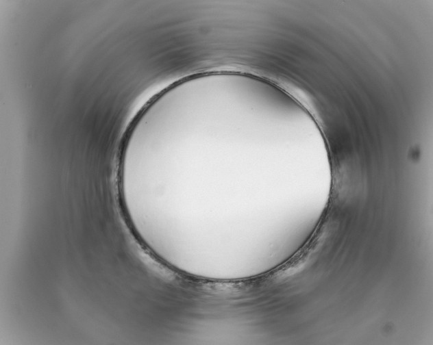 X0000089881149200707262204