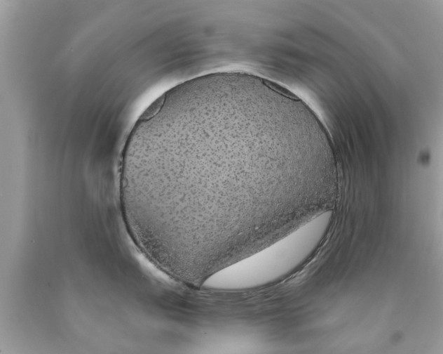 X0000089881151200707262204