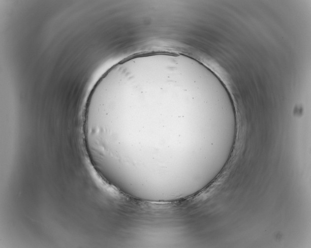 X0000089881152200707262205