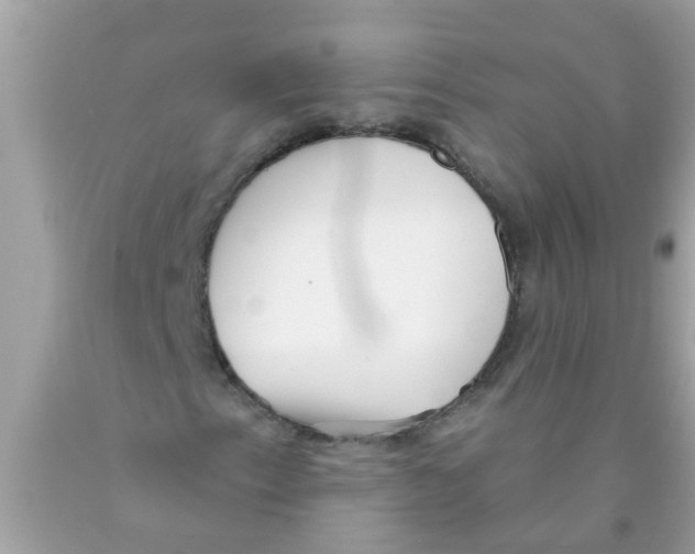 X0000089881153200707262204