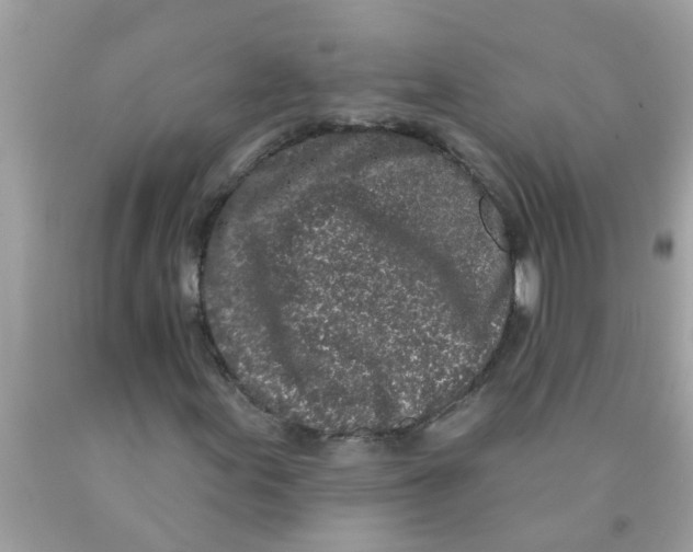 X0000089881155200707262204