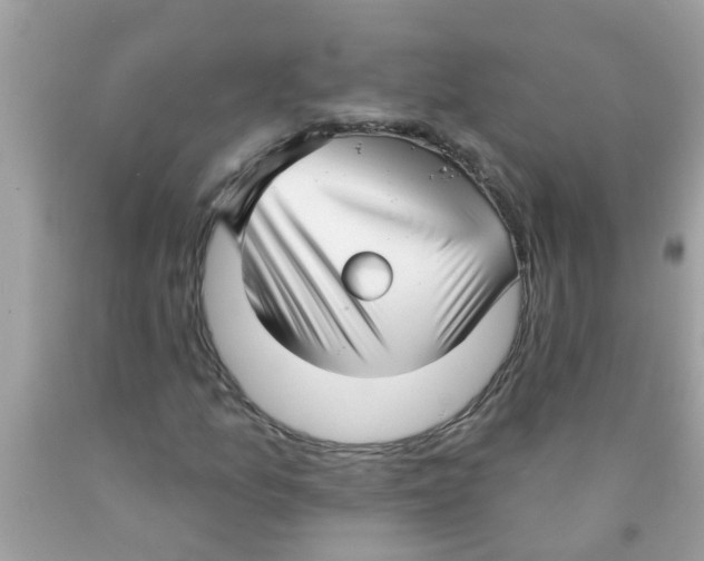 X0000089881157200707262204