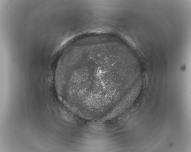 X0000089881158200707262204