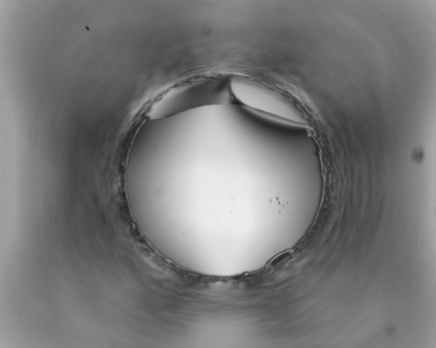 X0000089881160200707262204