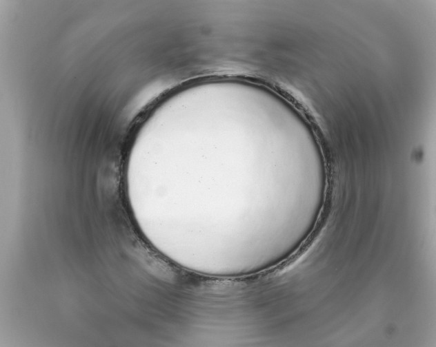 X0000089881163200707262204