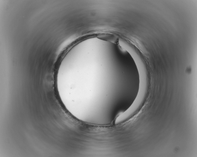 X0000089881164200707262204