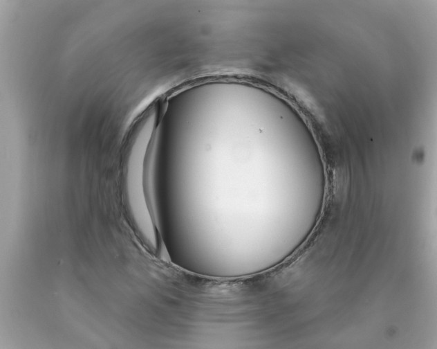 X0000089881165200707262204