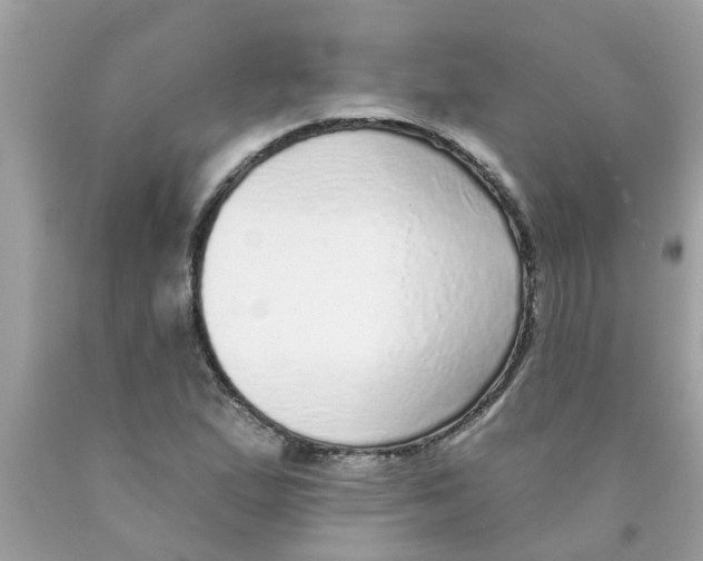 X0000089881167200707262204